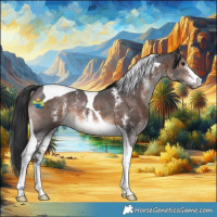 Horse Color:Brown Mushroom Sabino Tobiano 