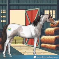 Horse Color:Bay Roan Tobiano 