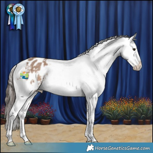 Horse Color:Liver Red Dun Sabino Snowflake Varnish 