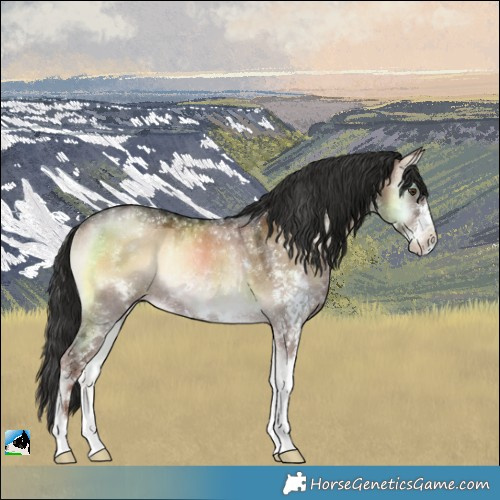 Horse Color:Liver Red Dun Onyx Sabino Rabicano 