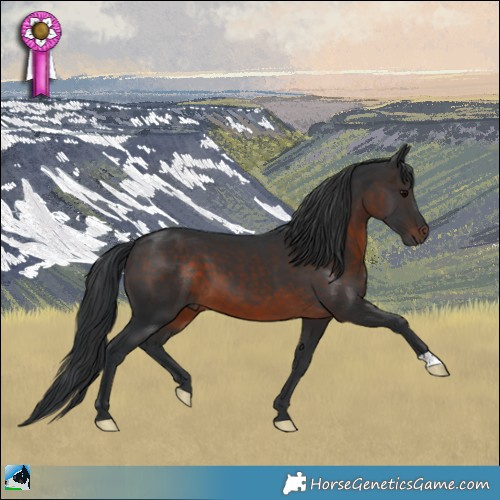 Horse Color:Brown 