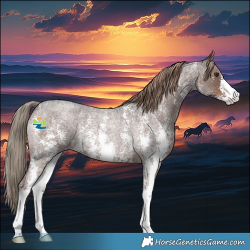 Horse Color:Liver Red Roan Sabino Rabicano 