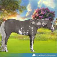 Horse Color:Silver Black Sabino 