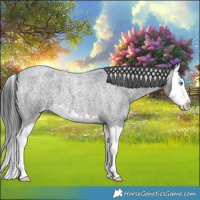 Horse Color:Brown Roan Splash Varnish 