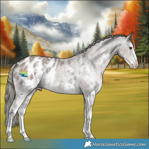 Horse Color:Liver Red Dun Mushroom Sabino Blanket 