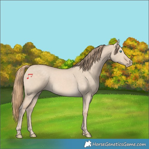 Horse Color:Perlino Dun