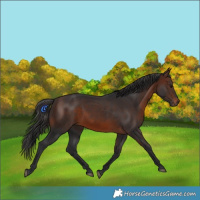 Horse Color:Brown 