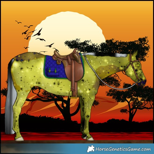 Horse Color:ERROR: UNKNOWN ANOMALY