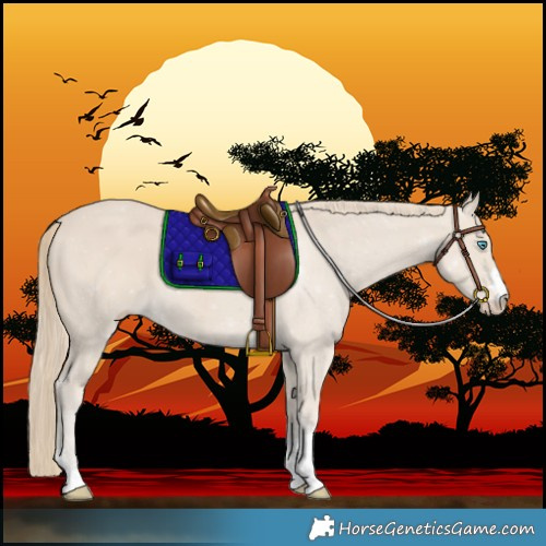 Horse Color:Smoky Creme 