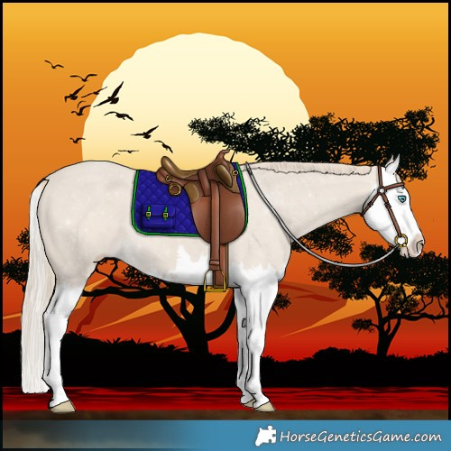 Horse Color:Smoky Creme Splash 