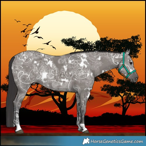 Horse Color:White Spotted Smoky Grullo Ice 