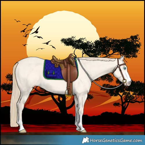 Horse Color:Perlino Dun Sabino 