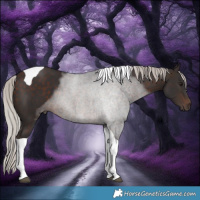 Horse Color:Silver Brown Tobiano