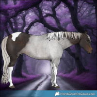 Horse Color:Silver Brown Tobiano 