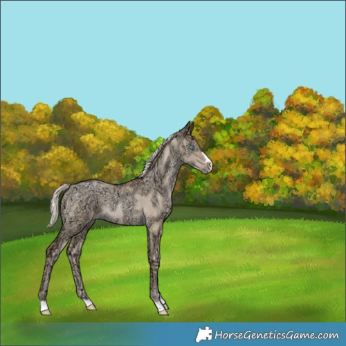 Horse Color:Chocolate Palomino Ice Pearl Dun Rabicano 