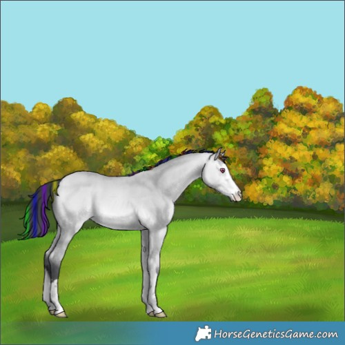 Horse Color:Platinum Painted Bay Chinchilla Dun 
