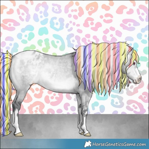 Horse Color:Painted Silver Bay Chinchilla Dun Appaloosa 