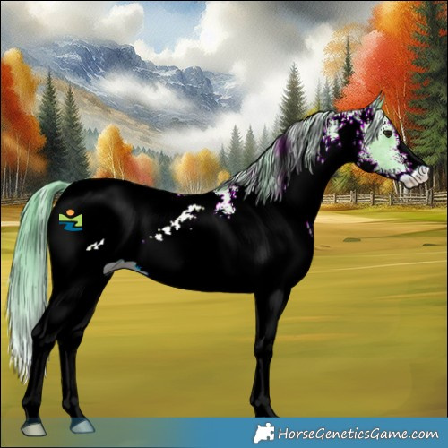 Horse Color:Watercolor White Spotted Grullo Snowcap 