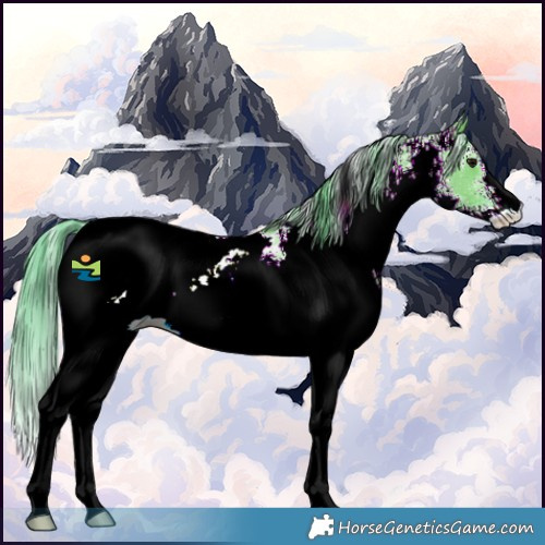 Horse Color:Watercolor White Spotted Grullo Snowcap 