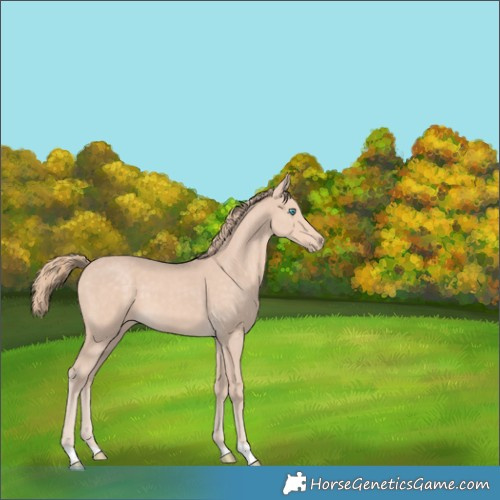 Horse Color:Perlino 
