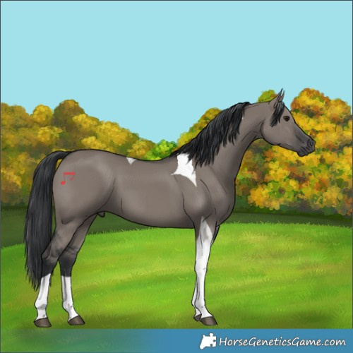 Horse Color:Grullo Tobiano 