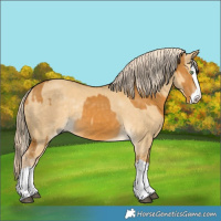 Horse Color:Palomino Splash  and Palomino Dun Splash 