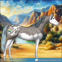 Horse Color:Platinum Painted Grullo Splash Blanket