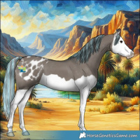 Horse Color:Platinum Painted Grullo Splash Appaloosa 
