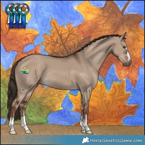 Horse Color:Liver Red Dun 