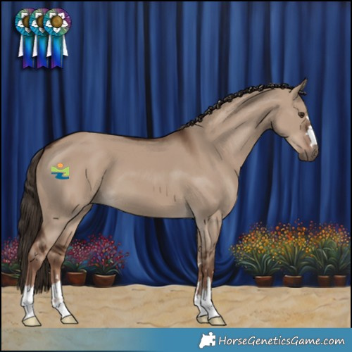 Horse Color:Liver Red Dun 