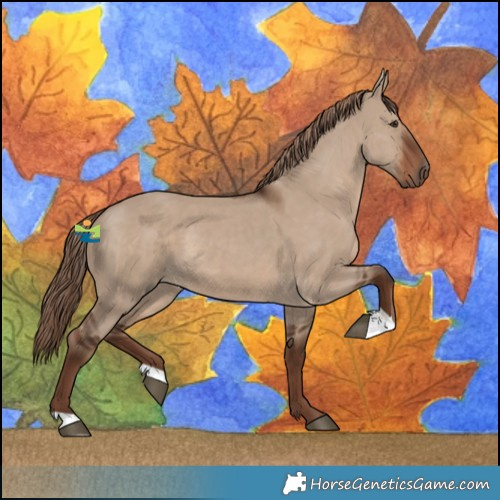 Horse Color:Liver Red Dun 