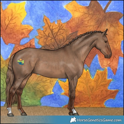 Horse Color:Liver Red Dun 