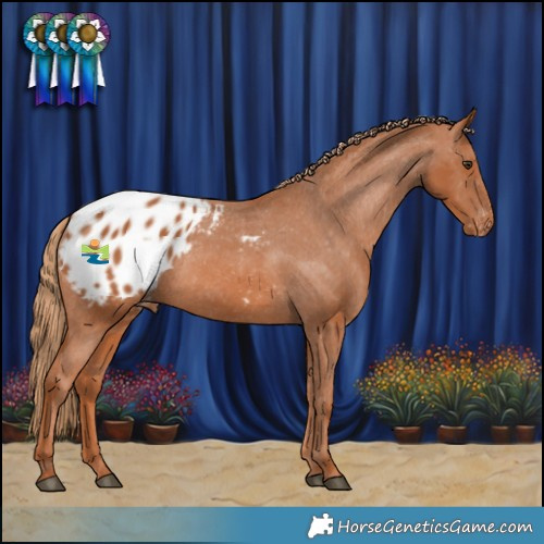 Horse Color:Chestnut Appaloosa Rabicano 