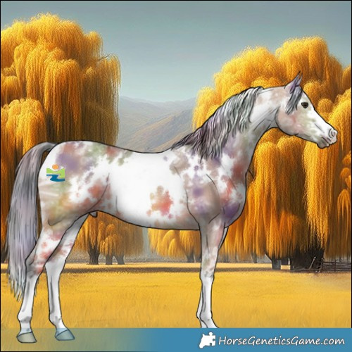 Horse Color:Nacre White Spotted Bay Ice Dun 