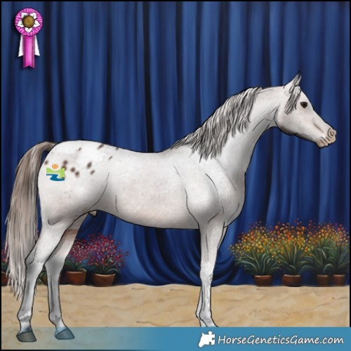 Horse Color:Brown Tobiano Varnish 
