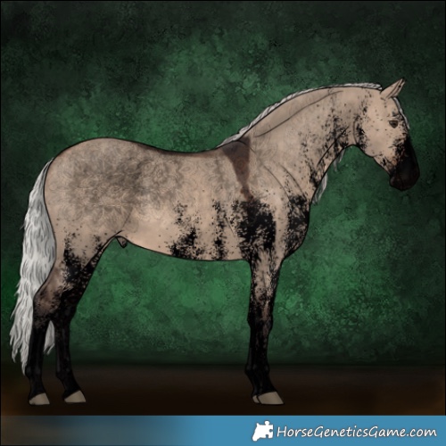 Horse Color:Void White Spotted Silver Brown Dun 
