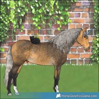 Horse Color:Silver Buckskin Rabicano 