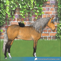 Horse Color:Silver Buckskin Rabicano