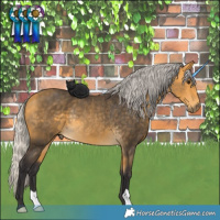 Horse Color:Silver Buckskin Rabicano 