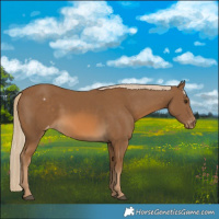 Horse Color:Chocolate Palomino Varnish 