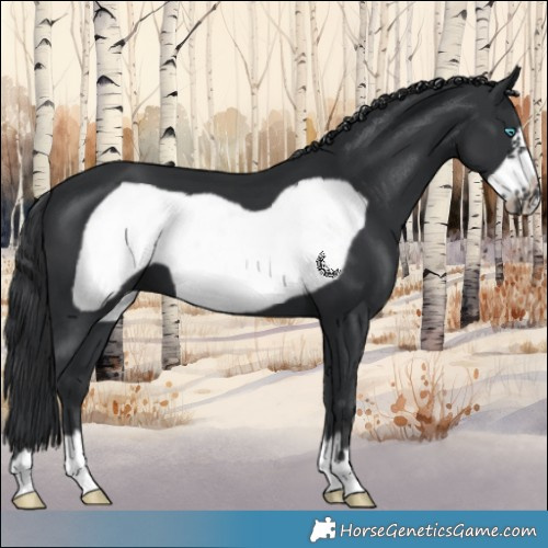 Horse Color:Black Frame 