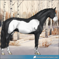 Horse Color:Black Frame 