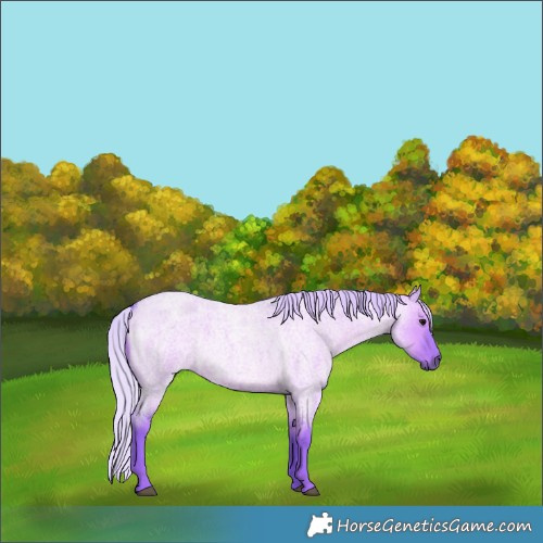 Horse Color:Watercolor Silver Grullo Roan 