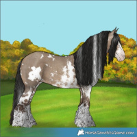 Horse Color:Gray White Spotted Sable Champagne Dun Sabino 