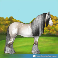 Horse Color:Gray White Spotted Sable Champagne Dun Sabino 