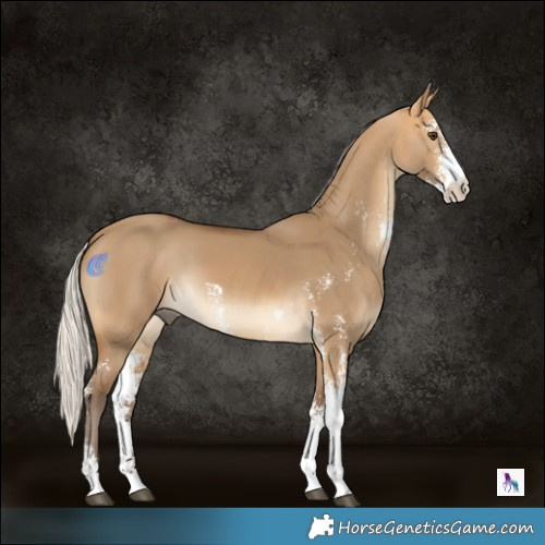 Horse Color:Silver Buckskin Dun Sabino 