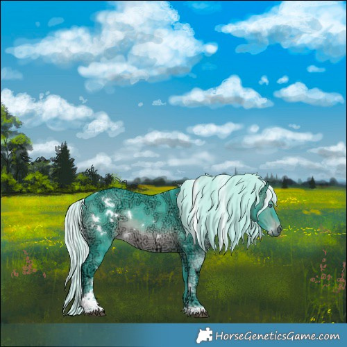 Horse Color:Watercolor White Spotted Silver Brown Chinchilla Ice Tobiano Rabicano 