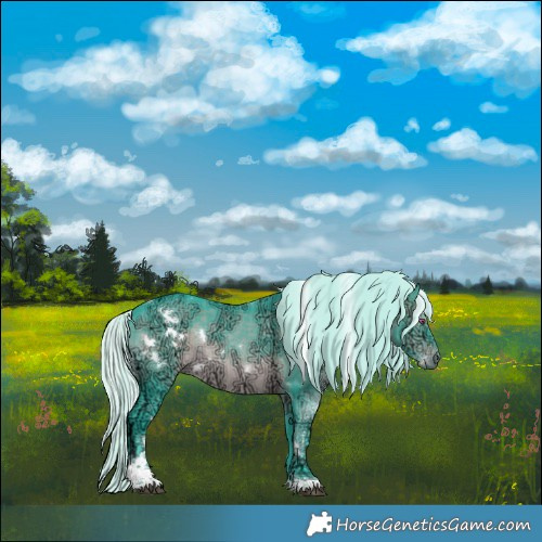 Horse Color:Watercolor White Spotted Silver Brown Chinchilla Ice Tobiano Rabicano 