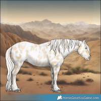 Horse Color:White Spotted Silver Grullo Snowdrop Pearl Appaloosa Rabicano 