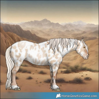 Horse Color:White Spotted Silver Grullo Pearl Appaloosa Rabicano